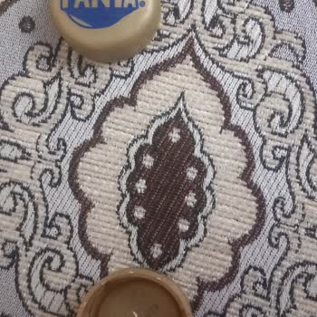 Fanta Can Şikayet N