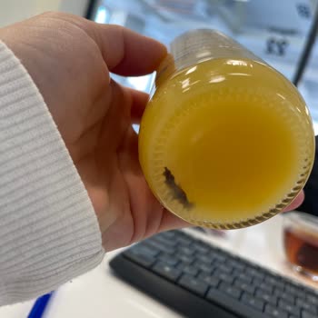 Ben Organic Portakal Suyu İçinde Cisim