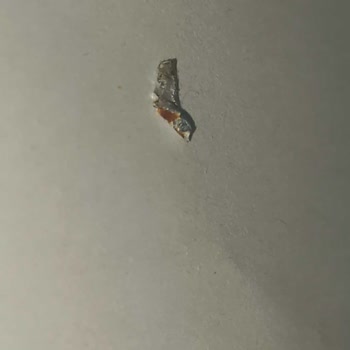 Packet Burger İçerinden Çıkan Yabancı Madde?