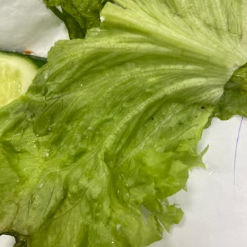 Saray Muhallebicisi Sıfır Temızlık Sıfır Hıjyen