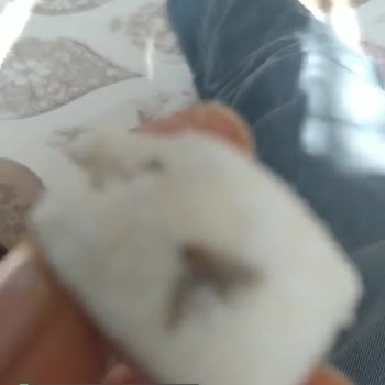 Öz Çakıroğlu Lokumunuzda Sivrisinek Çıktı!
