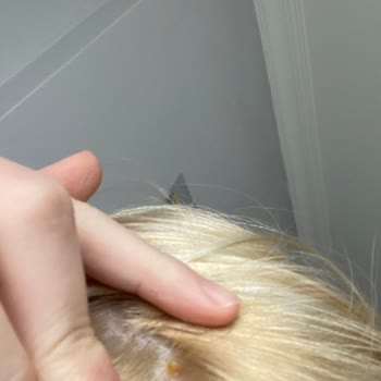 Palette Boya Kafamda Yara Yaptı!