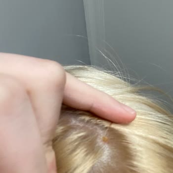 Palette Boya Kafamda Yara Yaptı!