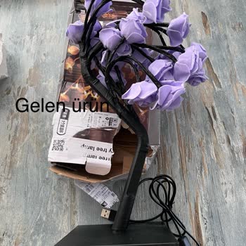 DekorDiyarım Mağdurum