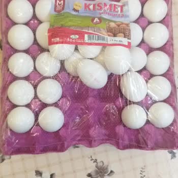 Kısmet Yumurta Streçleme Çok Kötü Yumurtalar Kırık ve Çatlak