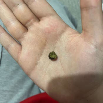 Amigo Markalı Çekirdekten Koyun Dışkısı Çıktı