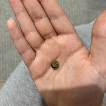 Amigo Markalı Çekirdekten Koyun Dışkısı Çıktı