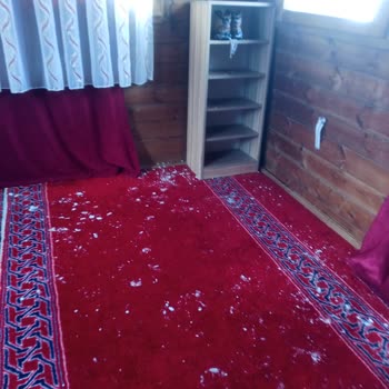 Tarım Ve Orman Bakanlığı Abant Yetkilileri Nerede