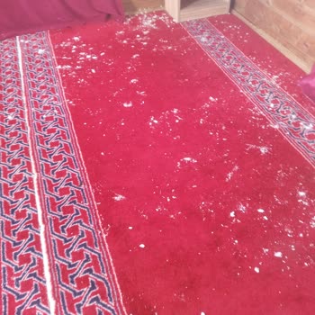 Tarım Ve Orman Bakanlığı Abant Yetkilileri Nerede