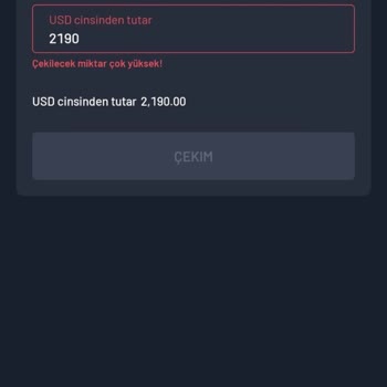 Provider Capital Markets Provider Katılım Çekim Talebi Yaparken Hata Mesajı Alıyorum