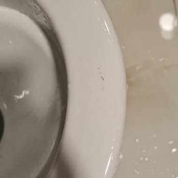 ECA Klozet Sorununu Çözmüyor