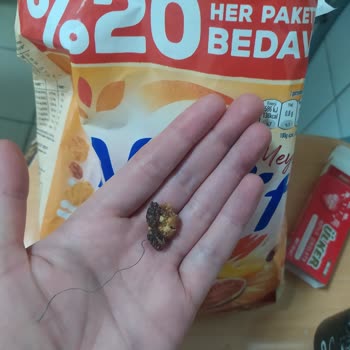 Nestle Kahvaltılık Gevrek Te İp Çıkması