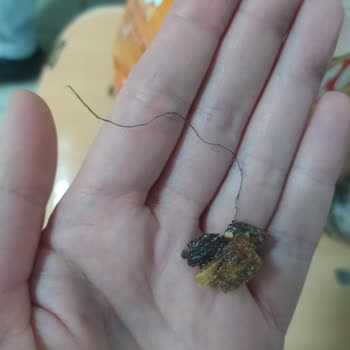 Nestle Kahvaltılık Gevrek Te İp Çıkması