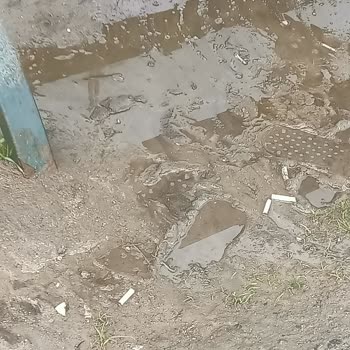 Kartepe Belediyesi Durak Kirliliğine Çözüm.