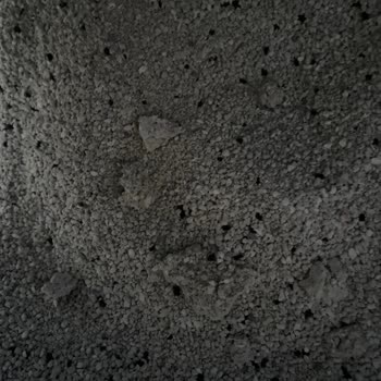 Zonguldak Kuzey Pazarlama Kullanılmış Kedi Kumu