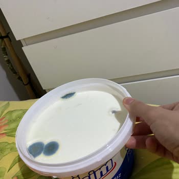 İçim Küflenmiş Ve Bozulmuş Yoğurt