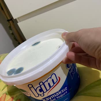 İçim Küflenmiş Ve Bozulmuş Yoğurt