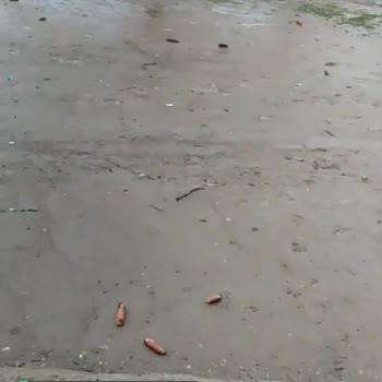 Kızıltepe Belediyesi Çamurlu Avlu Ve Bozuk Yollar