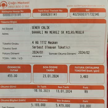 Aydem Bu Ne Yapsa Yeridir...