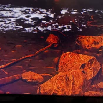 TCL Televizyonumdaki Piksel Ve Lekeler Sorunu!