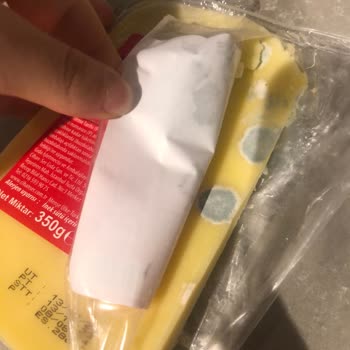 Cihanser Gıda Üründe Bozulma Var