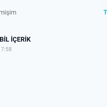 Vizyon Elektronik Para Ve Ödeme Hizmetleri