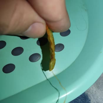 Lays Cips Filizlenmiş Gibi