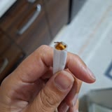 Philip Morris Kalitesiz Sigara Paketlemesi!