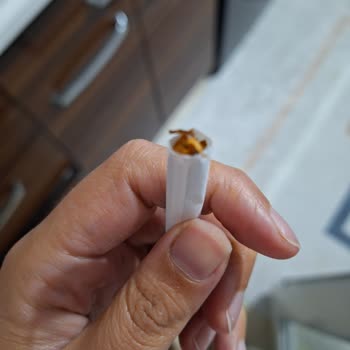 Philip Morris Kalitesiz Sigara Paketlemesi!