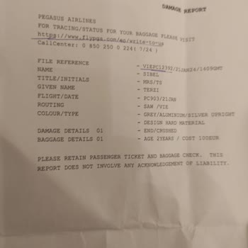 Pegasus Hava Yolları Kırık Bagaj Sorunu