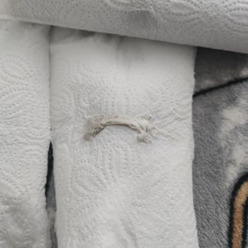 Solo Hijyen Sorunu: Peçetede Sakız Buldum