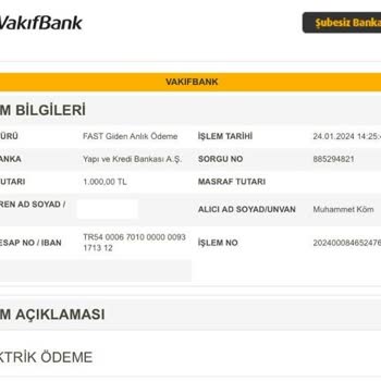 Vizyon Elektrik Yapmadığı İş İçin 1000 Lira Servis Ücreti Aldı