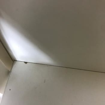 Doğtaş Riena Genç Odası Hasarlı Ve Selden Etkilenmiş Şekilde Geldi