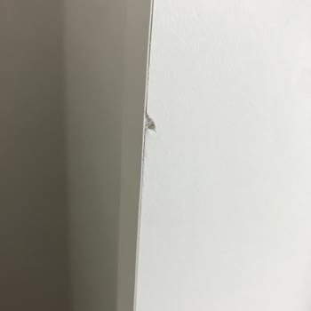 Doğtaş Riena Genç Odası Hasarlı Ve Selden Etkilenmiş Şekilde Geldi