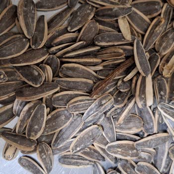 Şok Marketler Kütahya Şube Yetkilileri İadede Haksız Yere Sorun Yaşattı