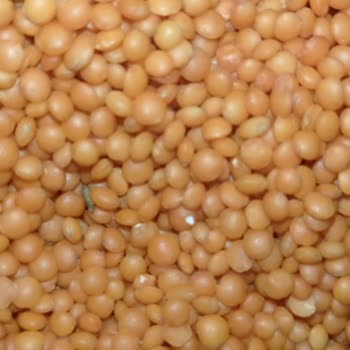 BİM Üründe Kur Çıktı