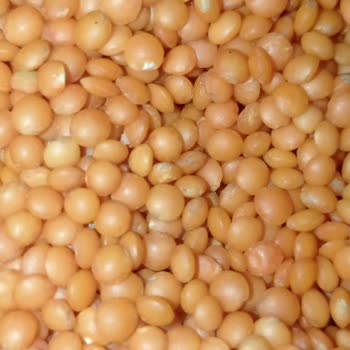 BİM Üründe Kur Çıktı