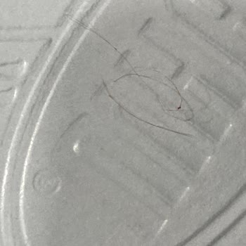 Sivas Şahin Pastanesi Yaş Pastadan Kıl Çıktı Çokta Rahatlar