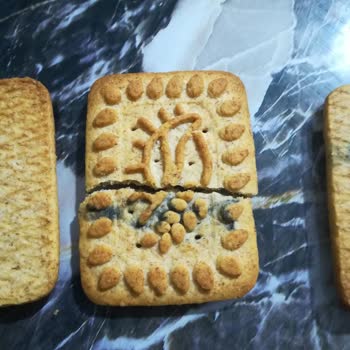 Harras Filenin Küflü Bisküvisi