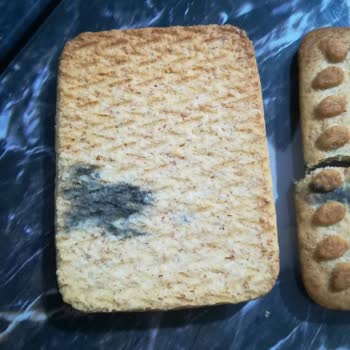 Harras Filenin Küflü Bisküvisi