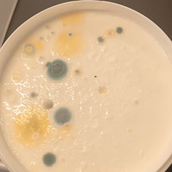 A101 Küflenmiş Yoğurt Ve Saygısız Elemanlar