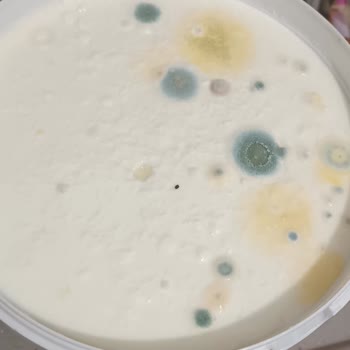 A101 Küflenmiş Yoğurt Ve Saygısız Elemanlar