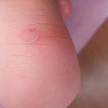 SuperStep'ten Alışveriş Yapmayı N Yaptırmayın. Hayal Kırıklığı!