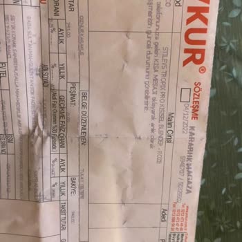 Stilevs Blender Lastiği Yine Bozuldu!