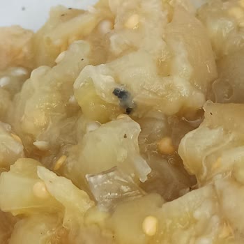 Bizim Vatan Gıda Güvenliği Çok Önemli