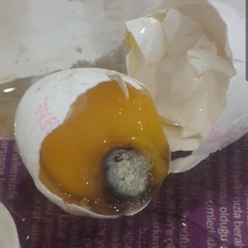 A101 Bozuk Küflenmiş Yumurta Sattı