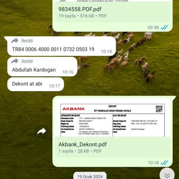 Öztürk Kardeşler Oto Cam Kasko Ve Cam Değişim Hizmeti Sorunu