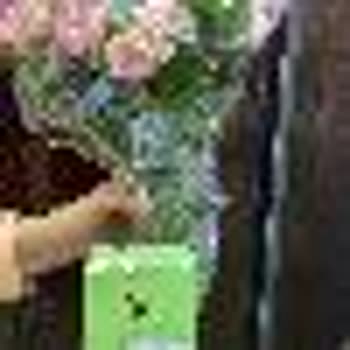 İstanbul Çiçekleri Yanlış Çiçek Ve Not