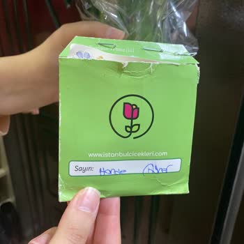 İstanbul Çiçekleri Yanlış Çiçek Ve Not