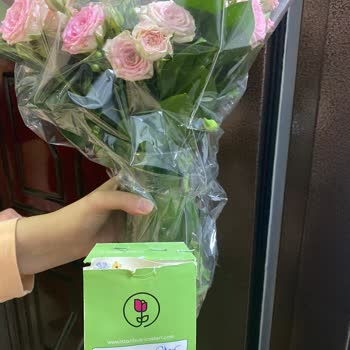 İstanbul Çiçekleri Yanlış Çiçek Ve Not